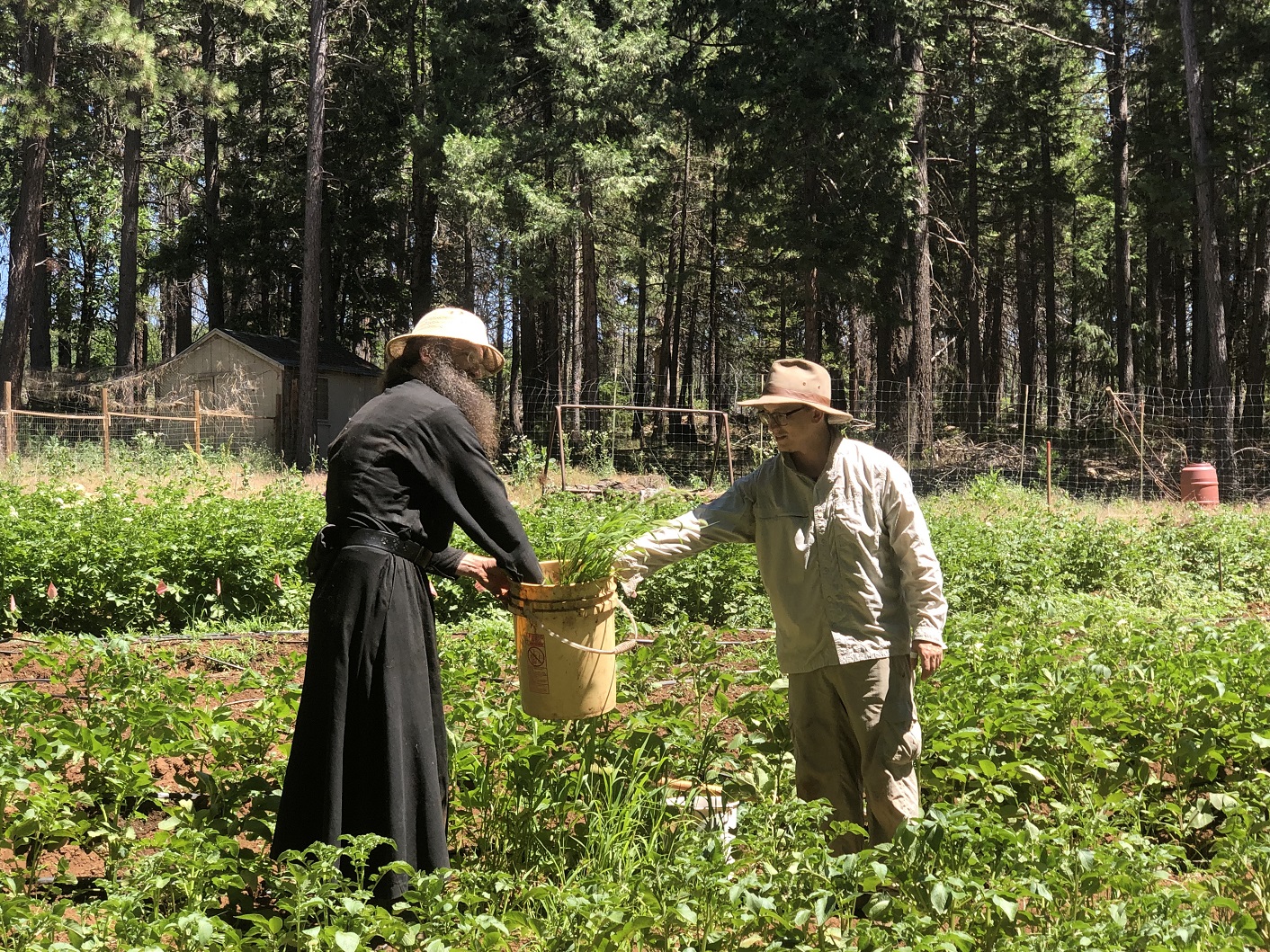 Ретрит “Orthodox LIFE” в ИЮНЕ